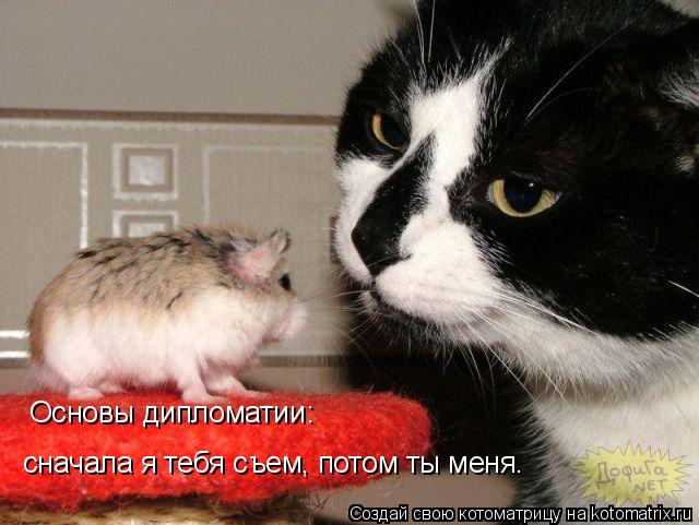 Котоматрица: Основы дипломатии:  сначала я тебя съем, потом ты меня.