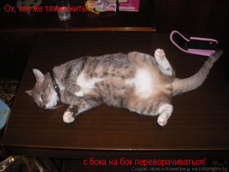 Котоматрица: Ох, как же тяжко жить... с бока на бок переворачиваться!