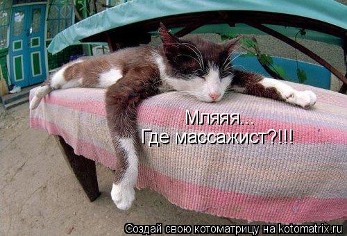 Котоматрица: Мляяя... Где массажист?!!!