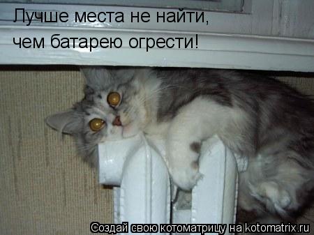 Котоматрица: Лучше места не найти, чем батарею огрести!