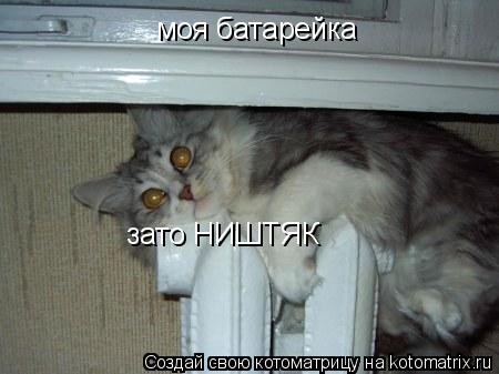Котоматрица: моя батарейка зато НИШТЯК