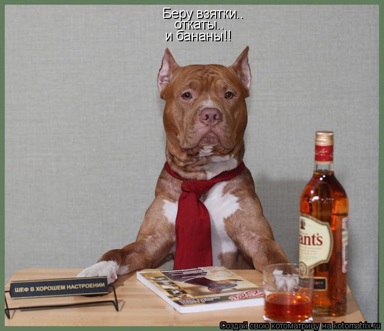 Котоматрица: Беру взятки.. откаты.. и бананы!!