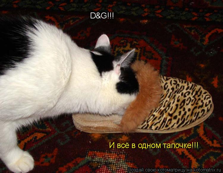 Котоматрица: D&G!!! И всё в одном тапочке!!!