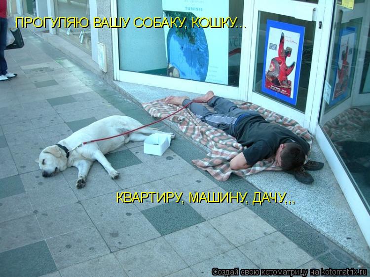 Котоматрица: ПРОГУЛЯЮ ВАШУ СОБАКУ, КОШКУ... КВАРТИРУ, МАШИНУ, ДАЧУ,,,