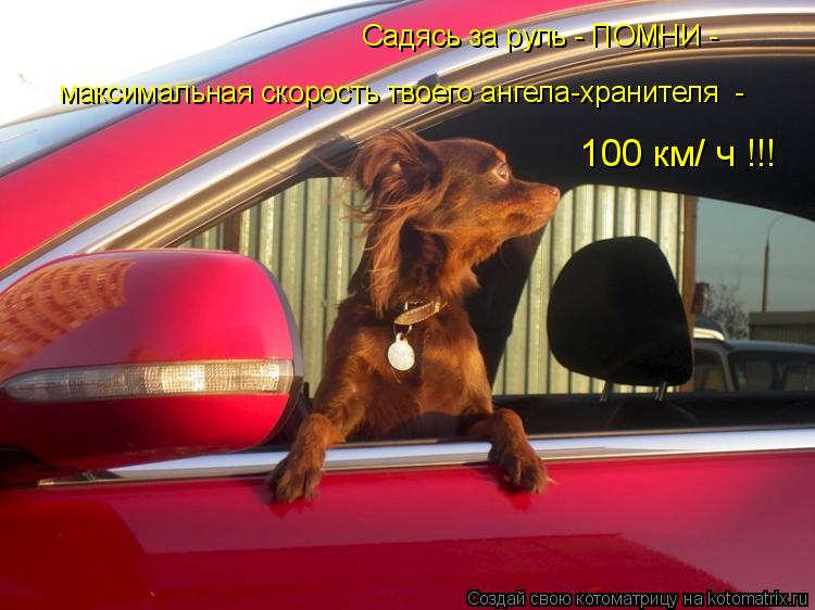 Садясь за руль - ПОМНИ - максимальная скорость твоего ангела-хранителя - 100 км/ ч !!!... Котоматрица: Садясь за руль - ПОМНИ - максимальная скорость твоего ангела-хранителя - 100 км/ ч !!!