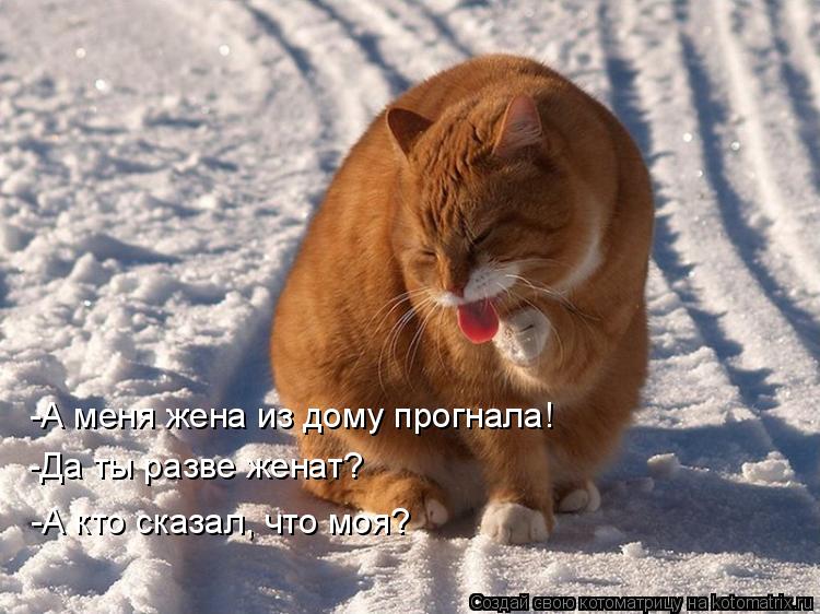 Посмеялся сам - поделись с другом!!!