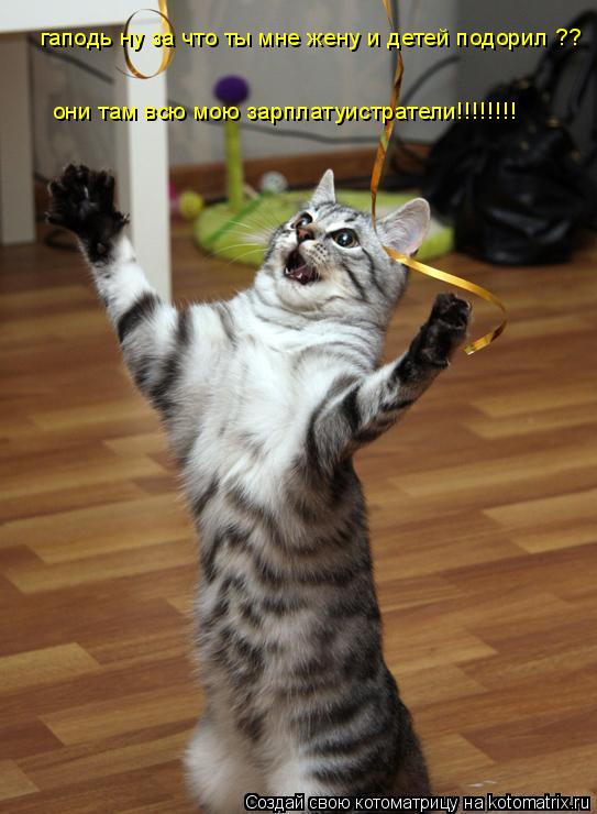 Котоматрица: гаподь ну за что ты мне жену и детей подорил ?? они там всю мою зарплатуистратели!!!!!!!!