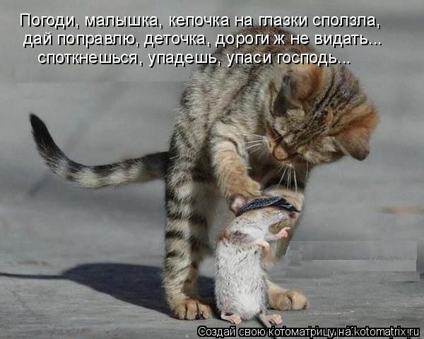Котоматрица: дай поправлю, деточка, дороги ж не видать... споткнешься, упадешь, упаси господь... Погоди, малышка, кепочка на глазки сползла,
