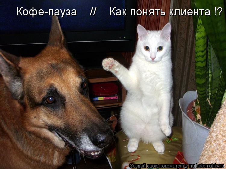 Котоматрица: Кофе-пауза    //    Как понять клиента !? ...