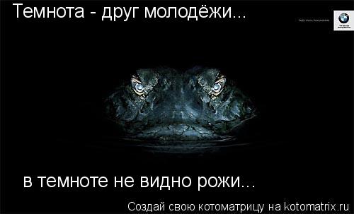 Темнота - друг молодёжи... в темноте не видно рожи...... Котоматрица: Темнота - друг молодёжи... в темноте не видно рожи...
