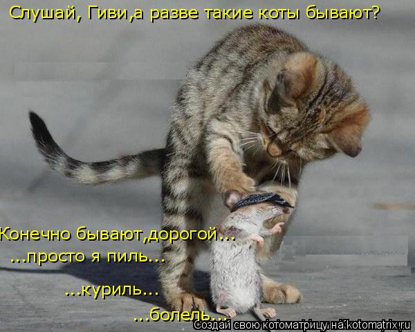 Котоматрица: Слушай, Гиви,а разве такие коты бывают? Конечно бывают,дорогой... ...куриль... ...просто я пиль... ...болель...