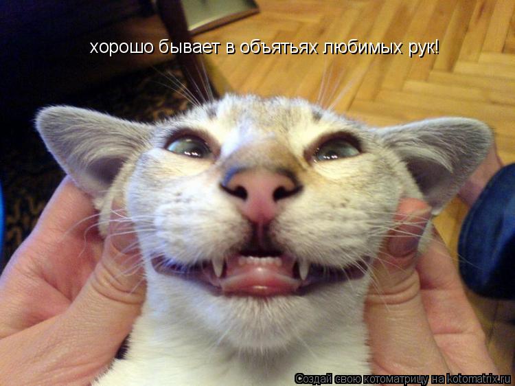 хорошо бывает в объятьях любимых рук!... Котоматрица: хорошо бывает в объятьях любимых рук!