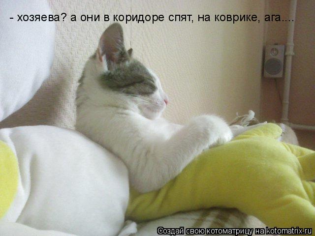 Котоматрица: - хозяева? а они в коридоре спят, на коврике, ага....