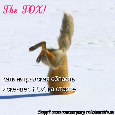Котоматрица: Калиниградская область: Искендер-FOX на старте: