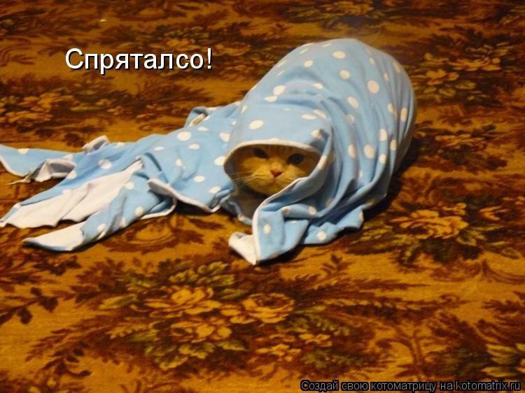 Котоматрица: Спряталсо!