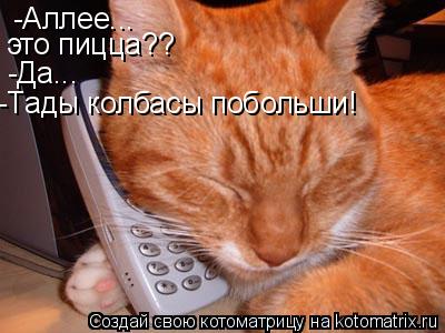 Котоматрица: -Аллее... это пицца?? -Да... -Тады колбасы побольши!