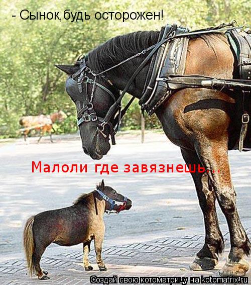 Котоматрица: Малоли где завязнешь... - Сынок,будь осторожен! - Сынок,будь осторожен!