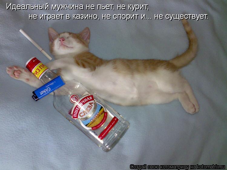 Идеальный мужчина не пьет, не курит, не играет в казино, не спорит и... не существует.... Котоматрица: Идеальный мужчина не пьет, не курит, не играет в казино, не спорит и... не существует.
