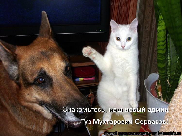 Котоматрица: -Знакомьтесь, наш новый админ Туз Мухтарович Серваков!