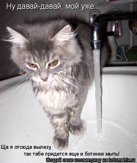 Котоматрица: Ну давай-давай, мой уже...  Ща я отсюда вылезу,  так тебе придется еще и ботинки мыть!