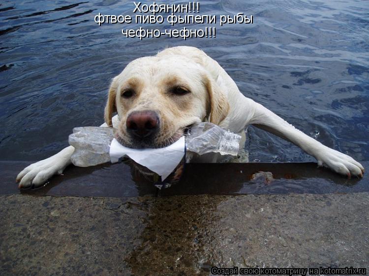 Котоматрица: Хофянин!!! фтвое пиво фыпели рыбы чефно-чефно!!!