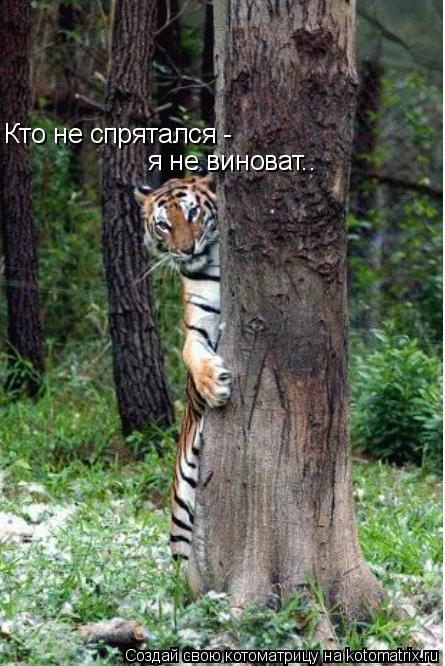 Котоматрица: Кто не спрятался -  я не виноват..