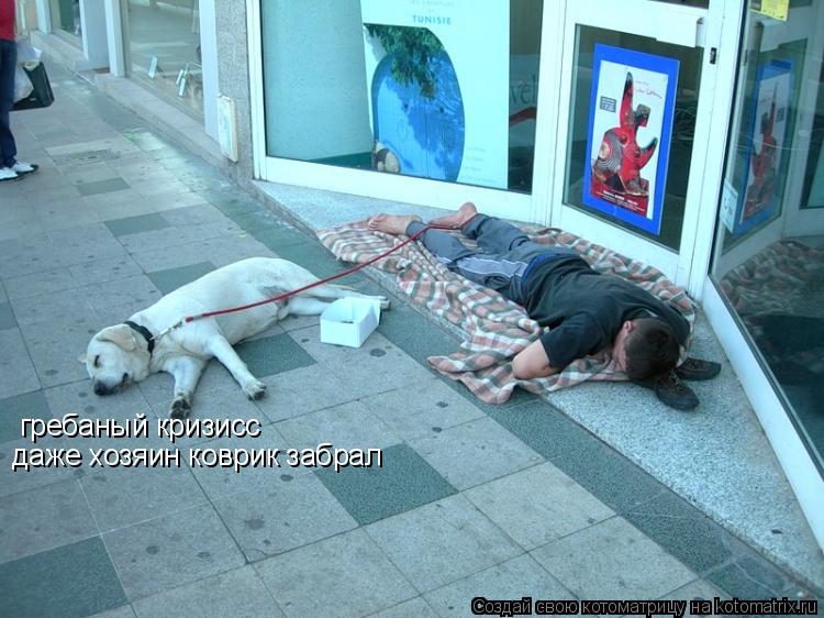Котоматрица: гребаный кризисс даже хозяин коврик забрал