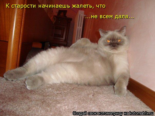 Котоматрица: К старости начинаешь жалеть, что ...не всем дала...