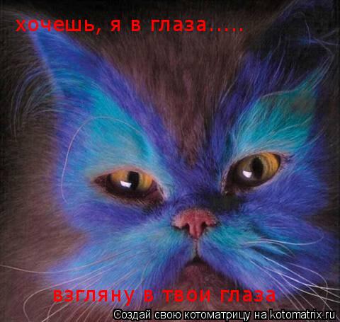 хочешь, я в глаза..... взгляну в твои глаза... Котоматрица: хочешь, я в глаза..... взгляну в твои глаза