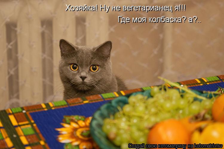 Хозяйка! Ну не вегетарианец я!!! Где моя колбаска? а?..... Котоматрица: Хозяйка! Ну не вегетарианец я!!! Где моя колбаска? а?..