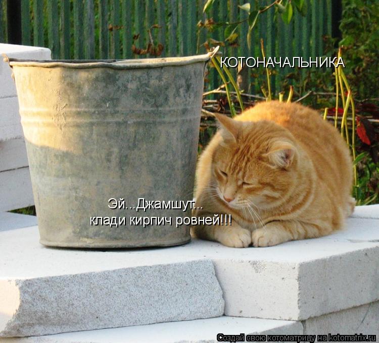 Эй...Джамшут... клади кирпич ровней!!! КОТОНАЧАЛЬНИКА... Котоматрица: Эй...Джамшут... клади кирпич ровней!!! КОТОНАЧАЛЬНИКА