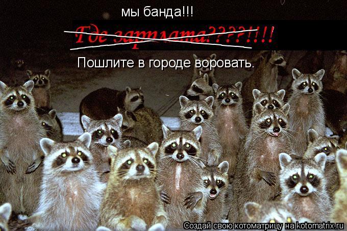 _________________________ _________________________ мы банда!!! Пошлите в городе воровать.... Котоматрица: _________________________ _________________________ мы банда!!! Пошлите в городе воровать.