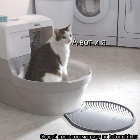А вот и я.... Котоматрица: А вот и я.