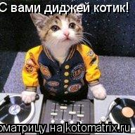 С вами диджей котик!... Котоматрица: С вами диджей котик!