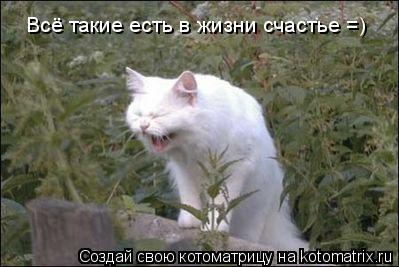 Всё такие есть в жизни счастье =)... Котоматрица: Всё такие есть в жизни счастье =)