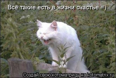 Котоматрица: Всё такие есть в жизни счастье =)