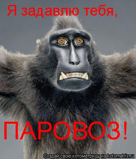 Я задавлю тебя, ПАРОВОЗ!... Котоматрица: Я задавлю тебя, ПАРОВОЗ!