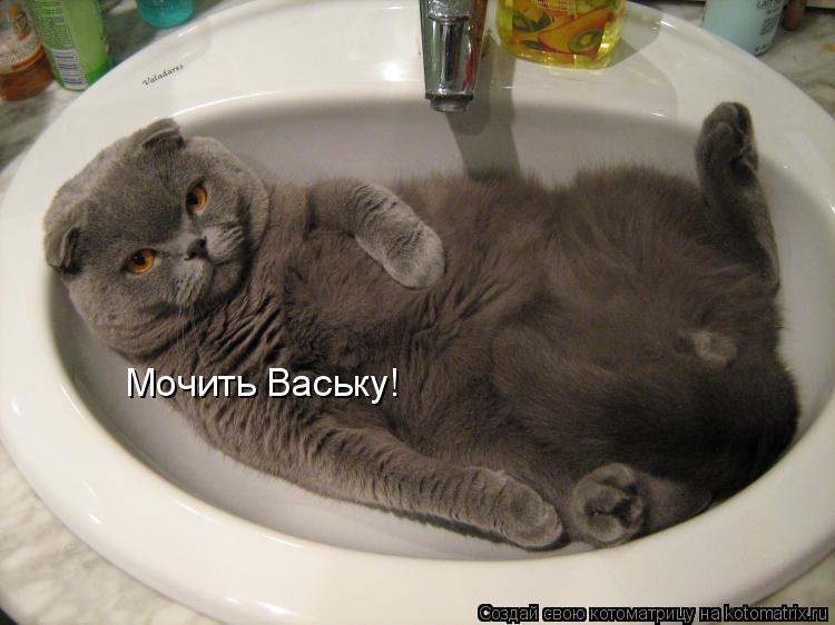 Мочить Ваську!... Котоматрица: Мочить Ваську!