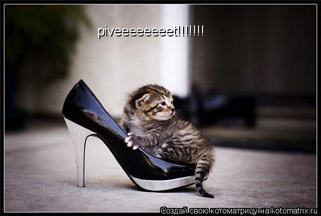 piveeeeeeeet!!!!!!!... Котоматрица: piveeeeeeeet!!!!!!!