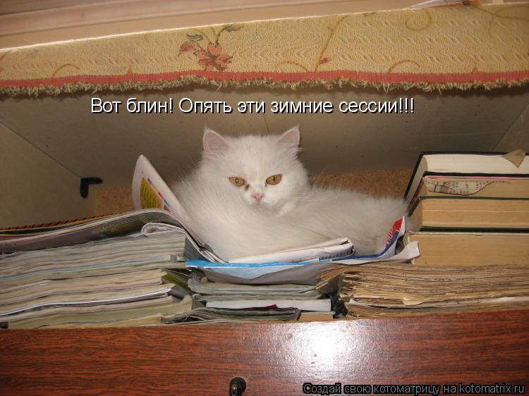 Вот блин! Опять эти зимние сессии!!!... Котоматрица: Вот блин! Опять эти зимние сессии!!!