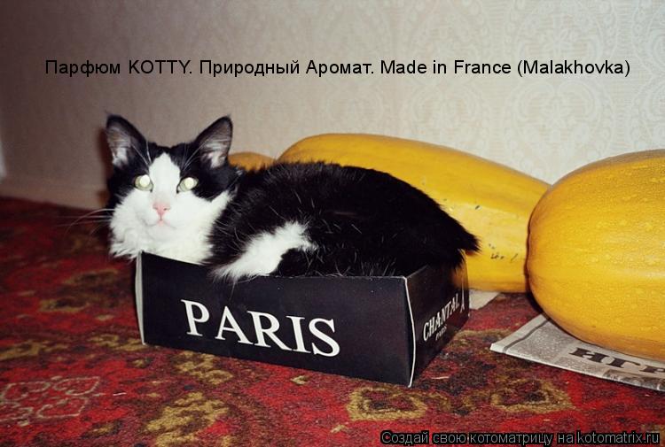 Парфюм KOTTY. Природный Аромат. Made in France (Malakhovka)... Котоматрица: Парфюм KOTTY. Природный Аромат. Made in France (Malakhovka)