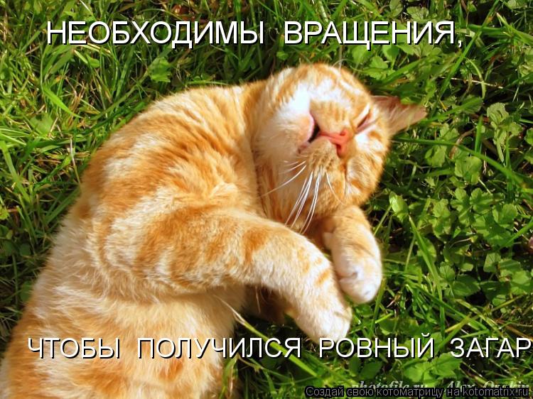 ЧТОБЫ ПОЛУЧИЛСЯ РОВНЫЙ ЗАГАР НЕОБХОДИМЫ ВРАЩЕНИЯ,... Котоматрица: ЧТОБЫ ПОЛУЧИЛСЯ РОВНЫЙ ЗАГАР НЕОБХОДИМЫ ВРАЩЕНИЯ,