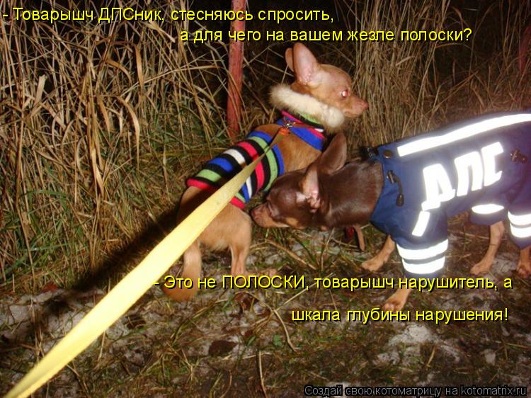 - Товарышч ДПСник, стесняюсь спросить, а для чего на вашем жезле полоски? - Это не ПОЛОСКИ, товарышч... Котоматрица: - Товарышч ДПСник, стесняюсь спросить, а для чего на вашем жезле полоски? - Это не ПОЛОСКИ, товарышч нарушитель, а шкала глубины нарушения!