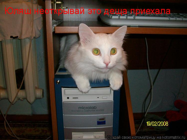 Юляш неоткрывай это деща приехала... Котоматрица: Юляш неоткрывай это деща приехала