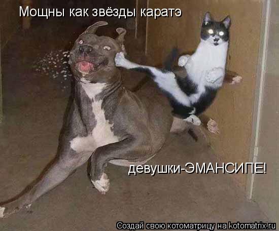 Мощны как звёзды каратэ девушки-ЭМАНСИПЕ!... Котоматрица: Мощны как звёзды каратэ девушки-ЭМАНСИПЕ!