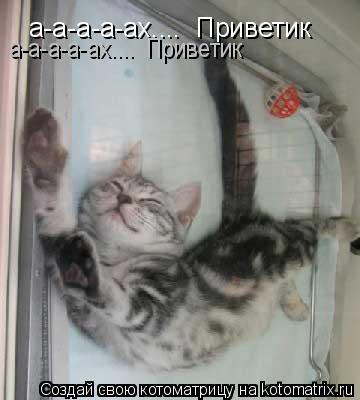 а-а-а-а-ах.... Приветик а-а-а-а-ах.... Приветик... Котоматрица: а-а-а-а-ах.... Приветик а-а-а-а-ах.... Приветик