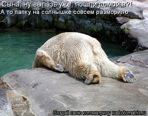 Сына, ну вылазь уже, пошли домой,а?! А то папку на солнышке совсем разморило... Котоматрица: Сына, ну вылазь уже, пошли домой,а?! А то папку на солнышке совсем разморило