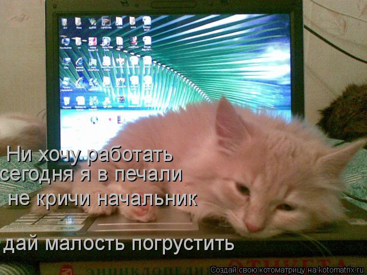 Ни хочу работать сегодня я в печали не кричи начальник дай малость погрустить... Котоматрица: Ни хочу работать сегодня я в печали не кричи начальник дай малость погрустить