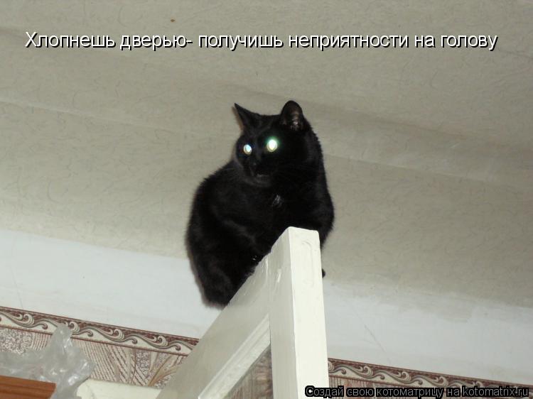Хлопнешь дверью- получишь неприятности на голову... Котоматрица: Хлопнешь дверью- получишь неприятности на голову