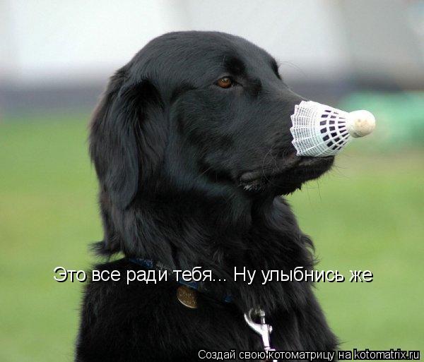 Это все ради тебя... Ну улыбнись же... Котоматрица: Это все ради тебя... Ну улыбнись же